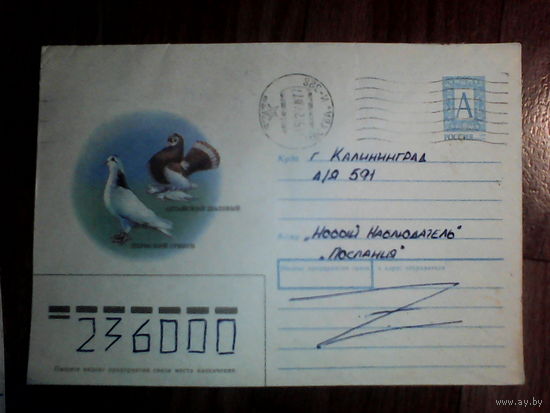 Конверт.Россия. Голуби.1993 год