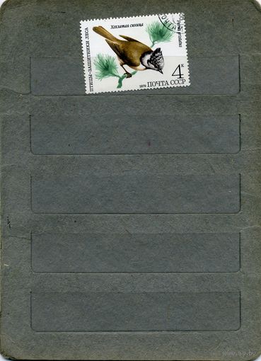 СССР, 1979, ПТИЦЫ - защитники леса, 1м