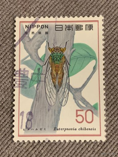 Япония. Муха. Euterpnostia chibensis