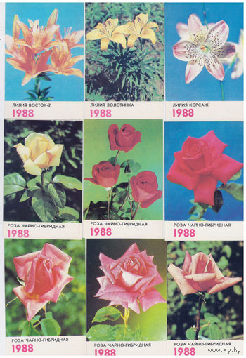 Календари Цветы 25 шт 1988