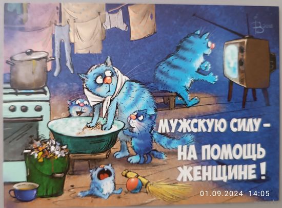 Мужская  помощь. Синие коты. Ирина Зенюк. Открытка, глянец, 2018