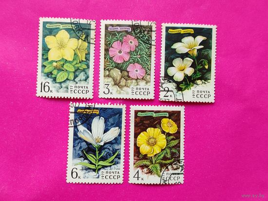 СССР. Цветы гор Сибири. ( 5 марок ) 1977 года. 4-15.