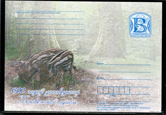 Беларусь 2009. ПК. Беловежская пуща. Дикие поросята