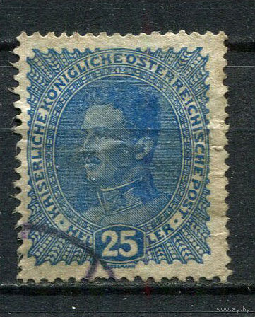 Австро-Венгрия - 1917/1918 - Император Карл I 25H - [Mi.223] - 1 марка. Гашеная.  (Лот 9FR)-T25P15
