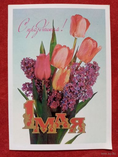 Дергилев 1984 1 Мая чистая С праздником!