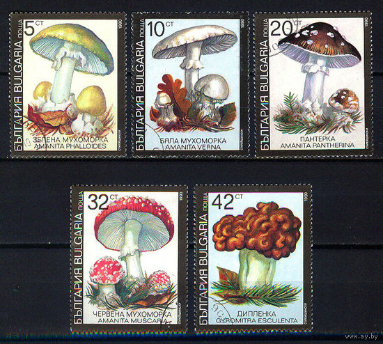 1990 Болгария. Ядовитые грибы