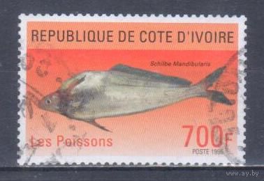 [1337] Кот д'Ивуар 1996. Фауна.Рыбы. Концовка серии.Гашеная марка.