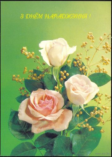 Беларусь ДМПК 1994 С днем рождения розы Древний герб