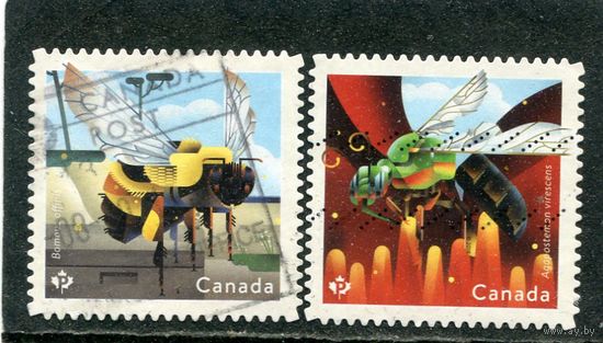 Канада. Фауна. Насекомые. Пчелы