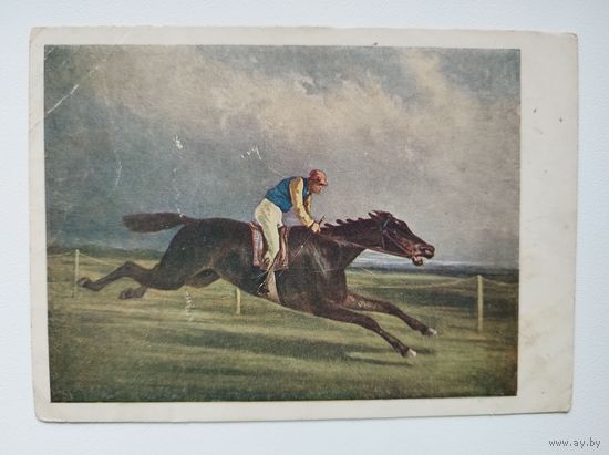Н.Б. Сверчков Скачка чистокровной английской лошади 1932 год
