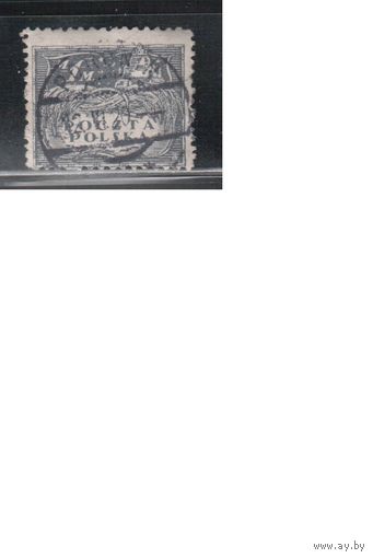 Польша-1919,(Мих.109)  гаш.  , Стандарт,