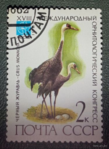 Марка СССР Птицы 1982