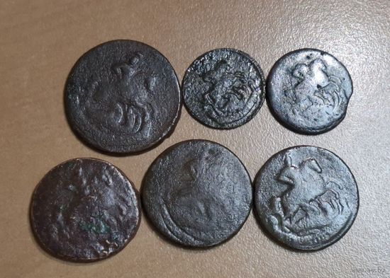 Медные монеты эпохи Елизаветы-Екатерины. Кони. Лотом