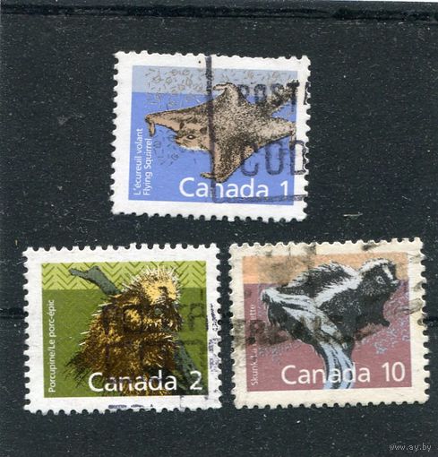 Канада. Стандарт. Фауна