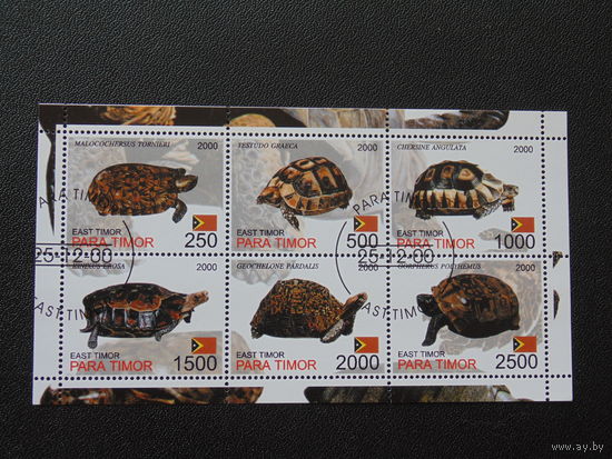 Восточный Тимор 2001 г. Фауна.