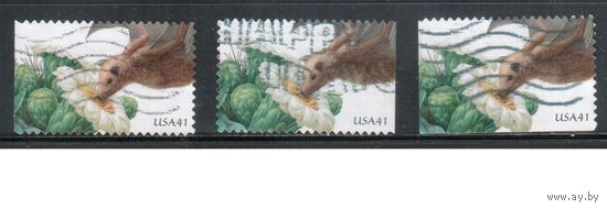 США-2007 (Мих.4241  BD+ВЕ) , гаш., Фауна, Флора, Цветы,  зубцовки