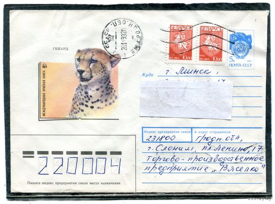 Беларусь. ХМК. Конверт п.п. Фауна Гепард. Штемпель Слоним 1993