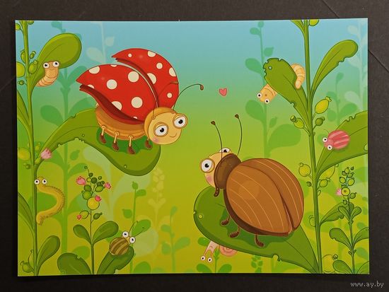 Четкова Беларусь 2009 год