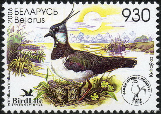 Птица года. Чибис Беларусь 2006 год (643)  серия из 1 марки