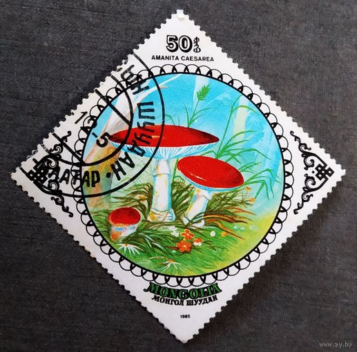 Марка Монголия 1985 год Грибы