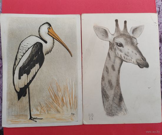 В. А. Ватагин. Открытки. 1961 г.