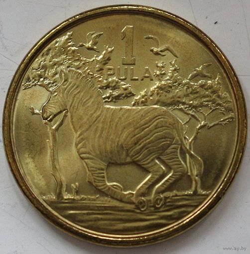 Ботсвана 1 пула 2013 год. А-9