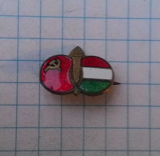 Общество советско-венгерской дружбы. Латунь.