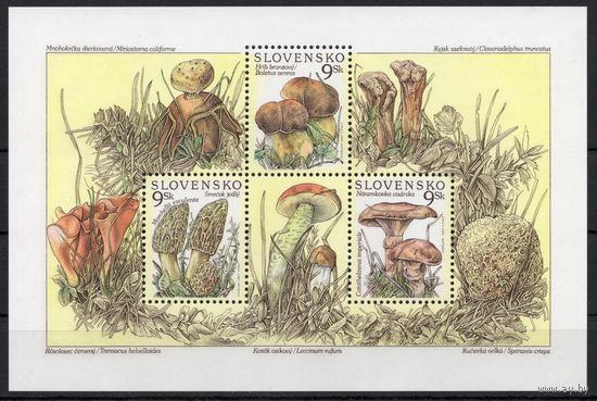 Словакия 1997. Флора. Грибы. 1 блок (9)