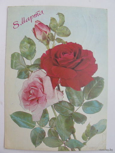 8  Марта   - 1987г.