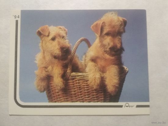 Карманный календарик. Собака.1994 год