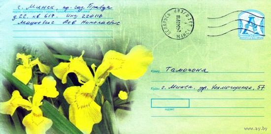 2007. Конверт, прошедший почту "Жёлтые ирисы"