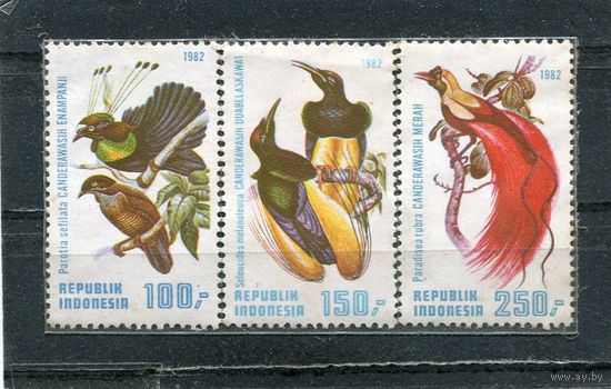 Индонезия. Райские птицы