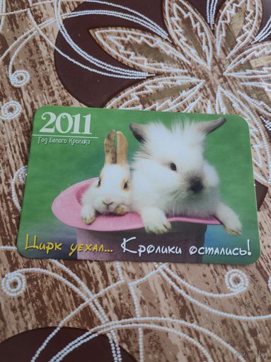 Календарик,кролик,2011