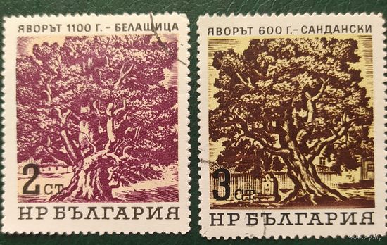 Болгария 1964 деревья 2 из 6.