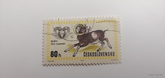 Чехословакия 1971. Wildlife - Всемирная охотничья выставка, Будапешт