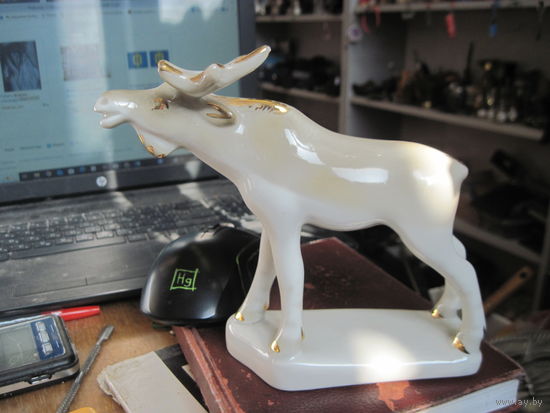 Лось, Полонное.