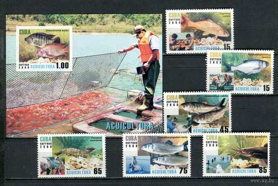 Куба - 2008 - Морская фауна. Рыболовный промысел - [Mi. 5049-5054 bl.237] - полная серия - 6 марок и 1 блок. MNH.  (Лот 41JQ)-T3P33