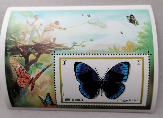 Умм-эль-Кайвайн. Бабочки.