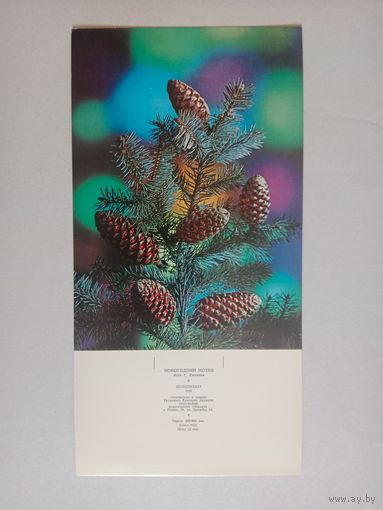 Костенко,1985.Размер 32 на 16
