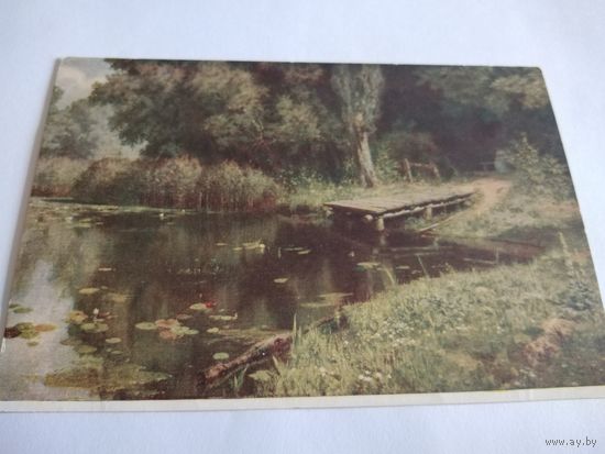 Открытка 1952г. В.Поленов. Заросший пруд.