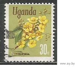 Уганда. Цветы. Охна. 1969г. Mi#109.