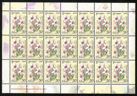 Беларусь. 2008. Стандарт.  Нарцисс (50р) (з.16-2011) Лист