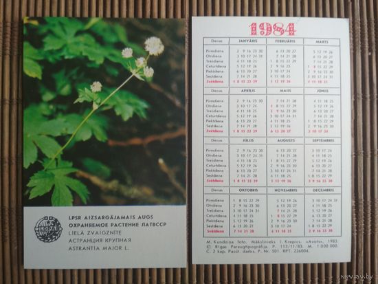 Карманный календарик.1984 год. Охраняемое растения ЛатвССР
