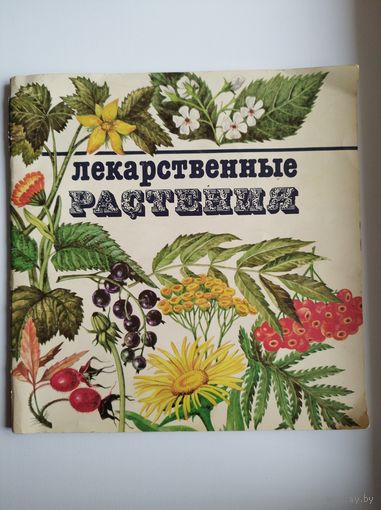Лекарственные растения