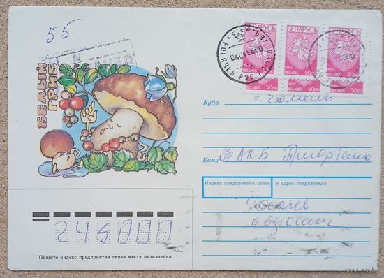 Конверт об белый гриб 1996