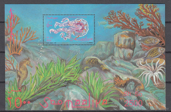 Морская фауна. Сомали. 1995. 1 блок. Michel N бл37 (6,5 е)