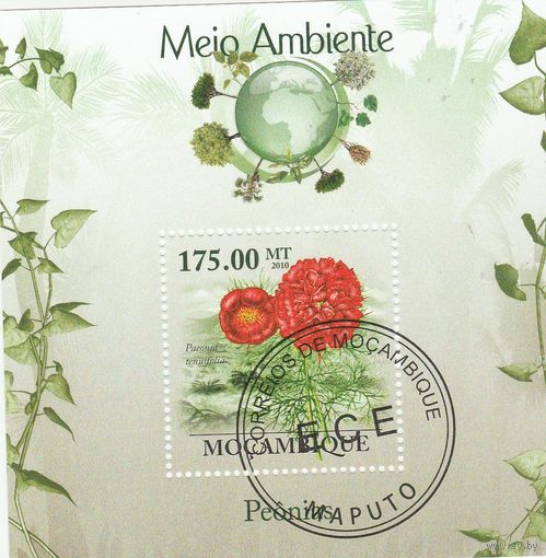 Мозамбик ,,Флора,, 2010г