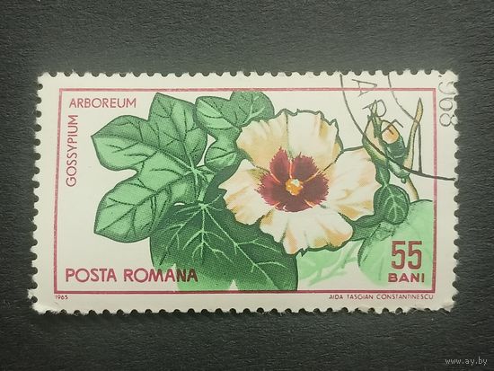 Румыния 1965. 45 лет со дня основания Ботанического сада Клужа