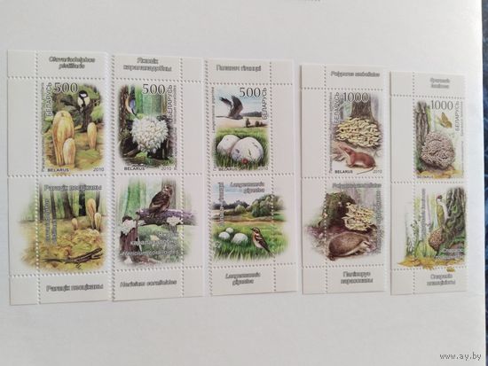 Беларусь  2010  5 м+5куп. грибы