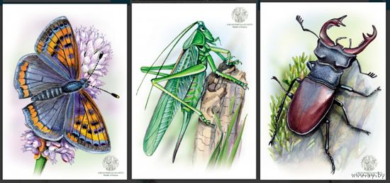 Фауна Беларуси. Насекомые. Открытки, 2025